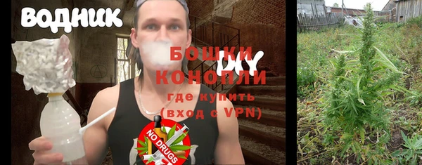 гидра Кодинск