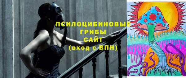 ГАЛЛЮЦИНОГЕННЫЕ ГРИБЫ Кинешма