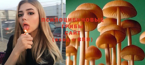 гидра Кодинск