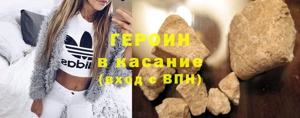 гидра Кодинск